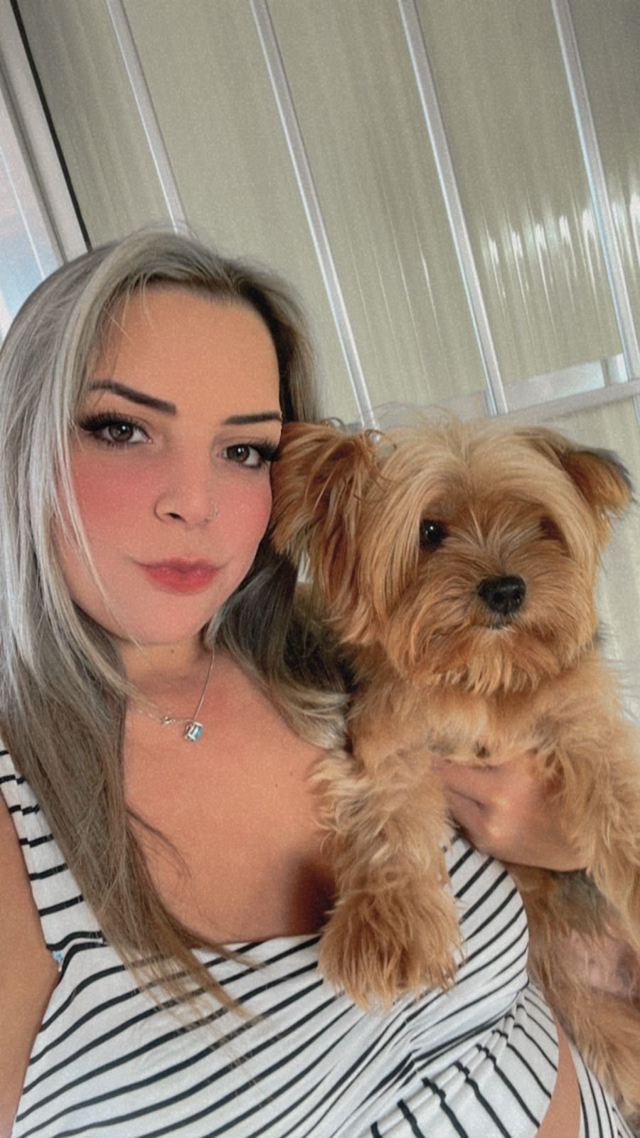 Lucas, especialista em banho e tosa a domicílio